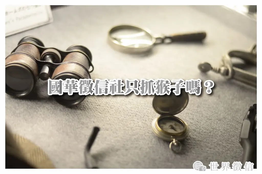 國華徵信社只抓猴子嗎？