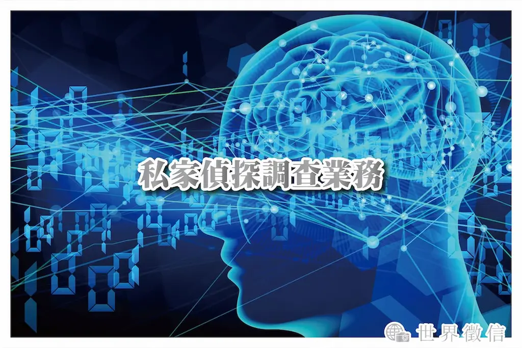 私家偵探調查業務